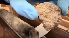 美国丹佛博物馆停车场下 发现近7000万年前恐龙化石